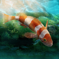 水族馆设计师游戏v1.0.0 最新版.